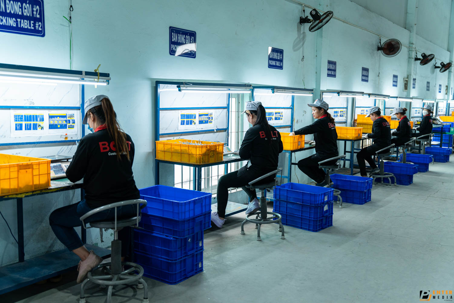 chup-brochure-doanh-nghiep-bold-vietnam-4-3884